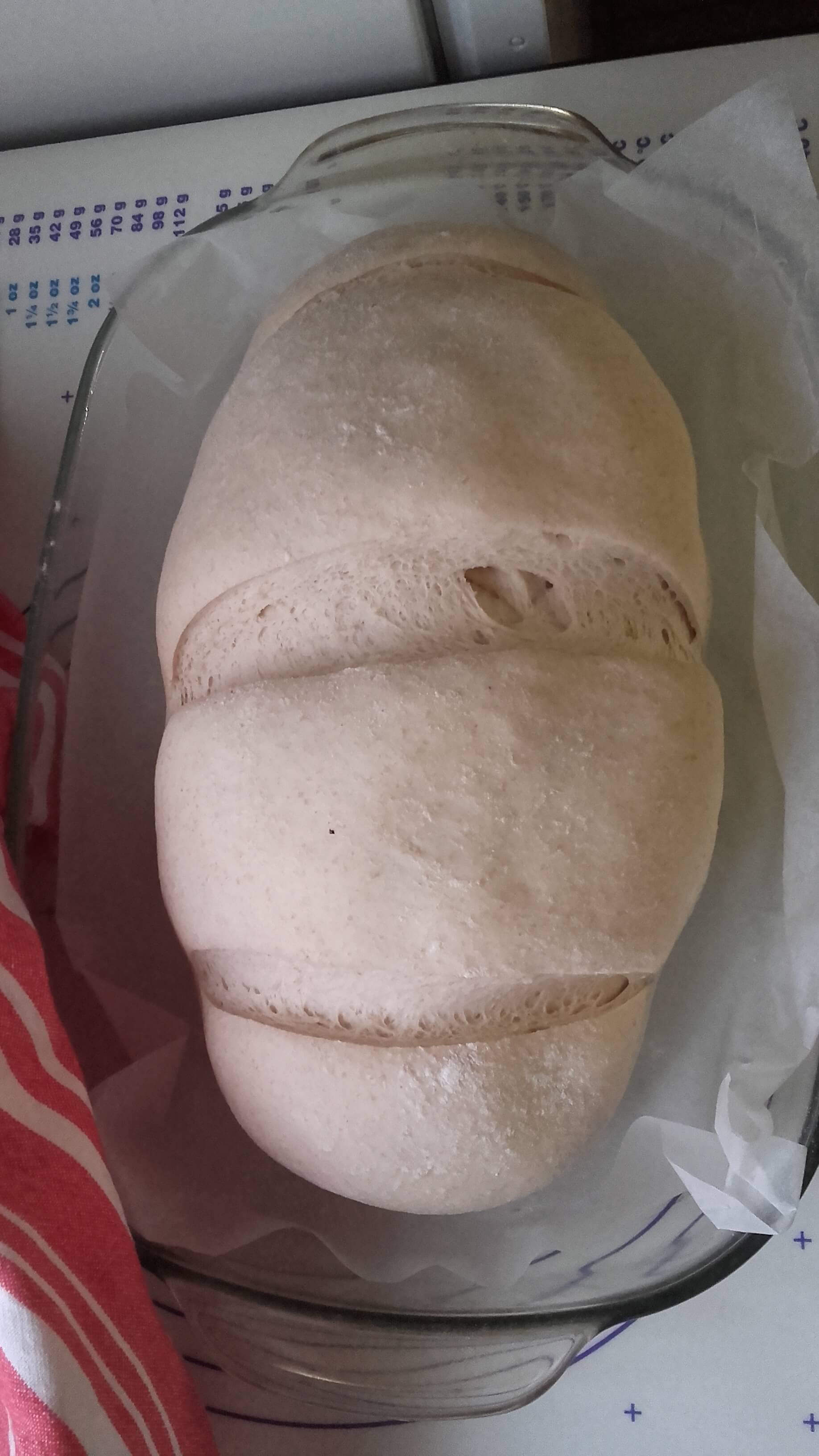 Tönkölykorpás, grahamlisztes kenyér elkészítésének 1. lépése