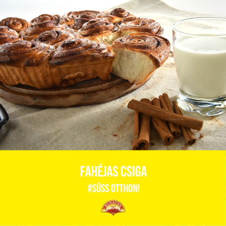 Fahéjas csiga