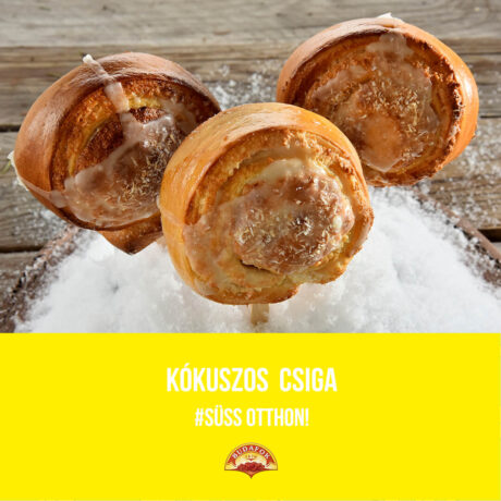 Kókuszos csiga