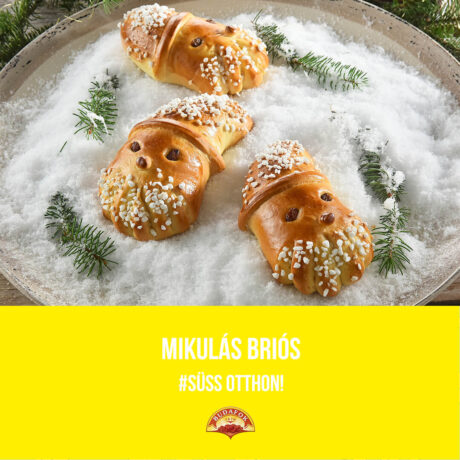 Mikulás Briós