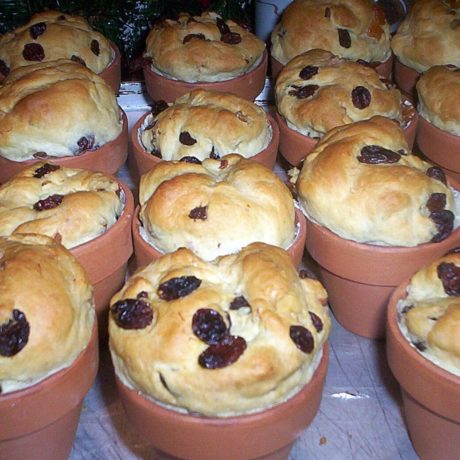Panettone
