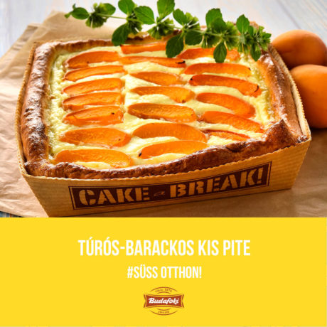 Túrós-barackos kis pite